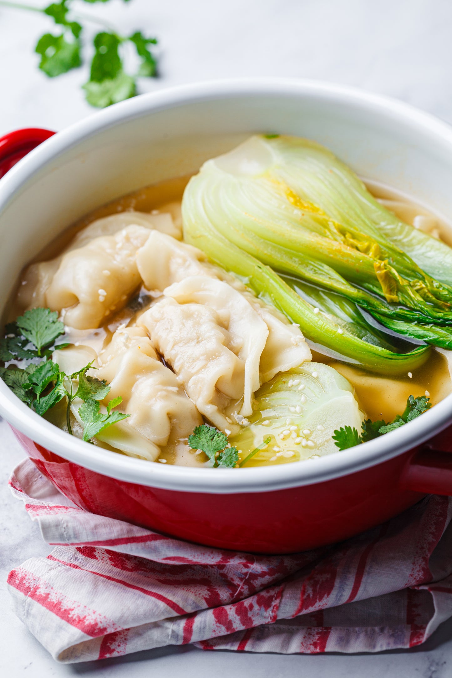 Wonton Soup